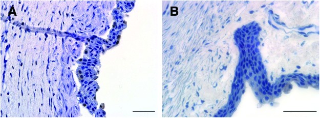 FIG. 8.