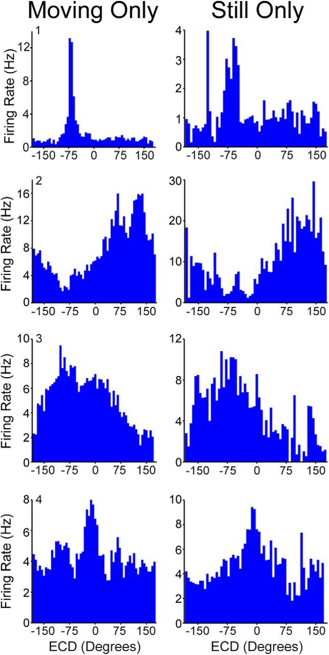 Figure 12.