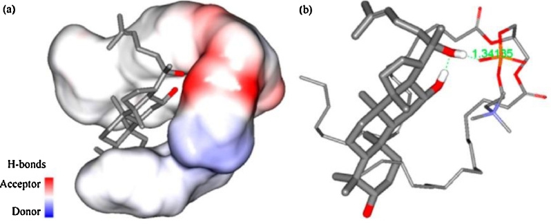 Fig 5