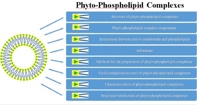 Image, graphical abstract