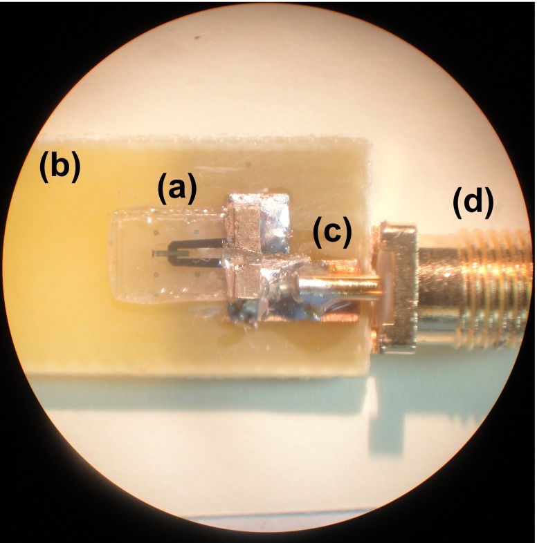 Fig. 12