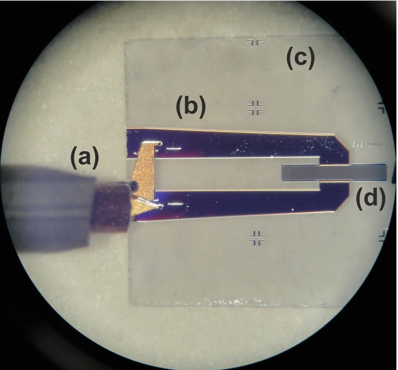 Fig. 9