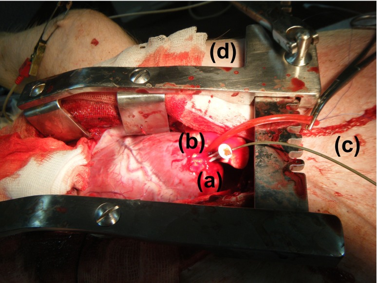 Fig. 19