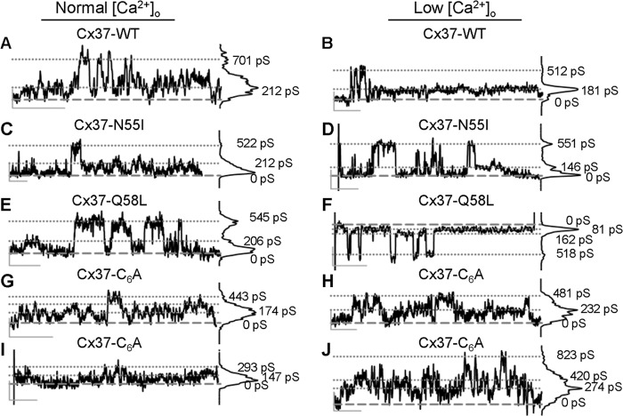 FIGURE 2.