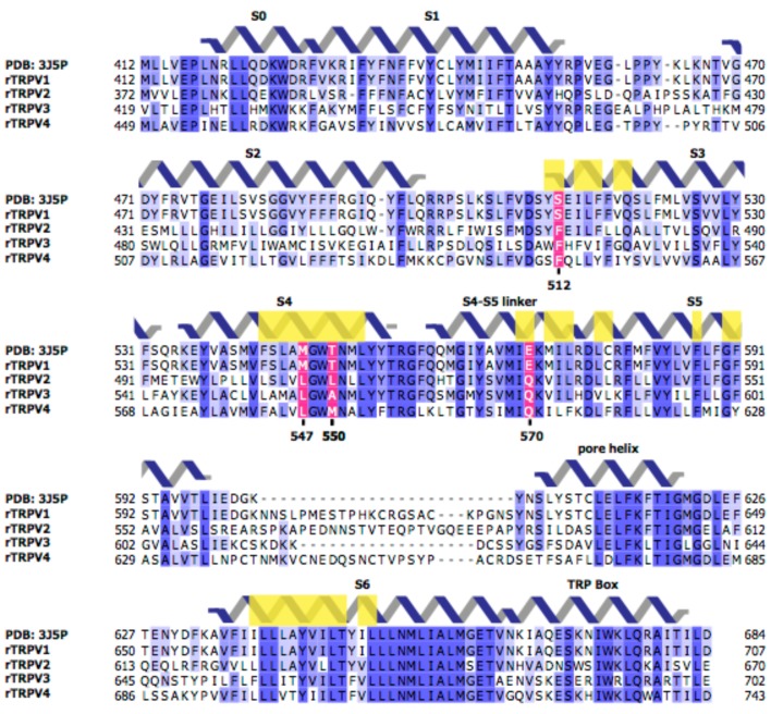 Figure 3—figure supplement 1.