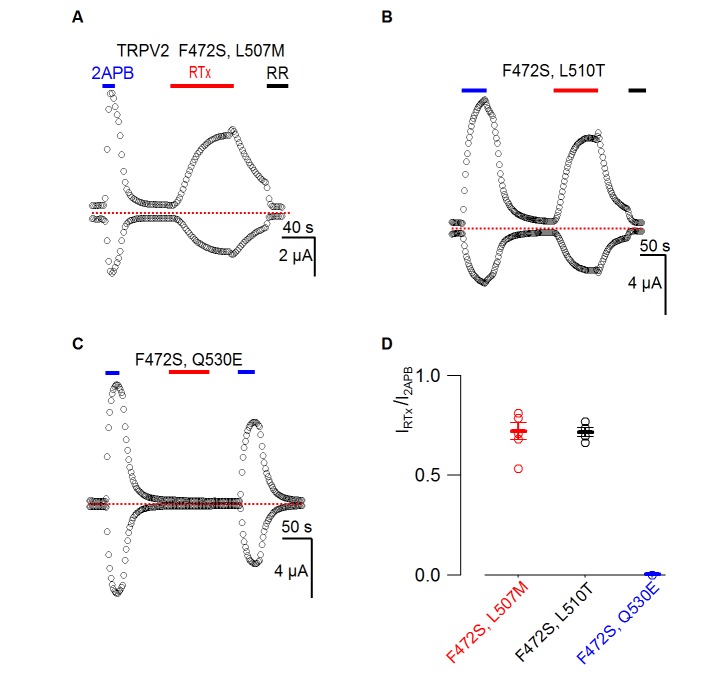 Figure 5—figure supplement 1.