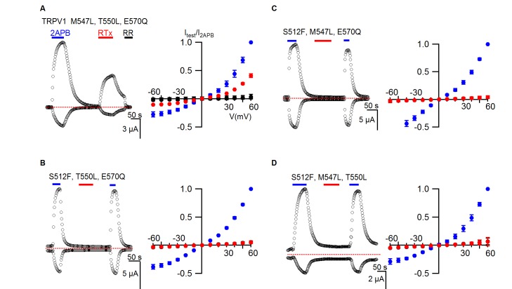 Figure 4—figure supplement 1.