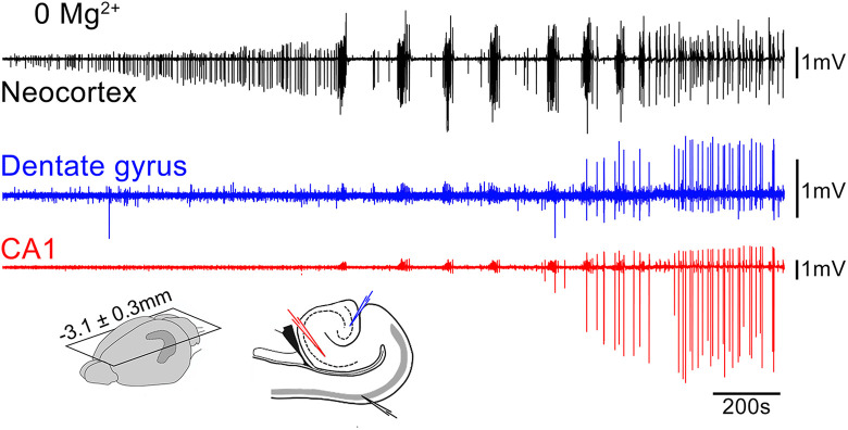 Figure 2.