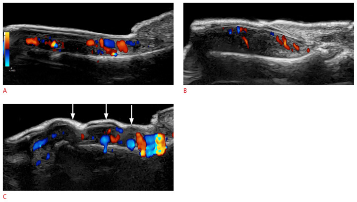 Fig. 20