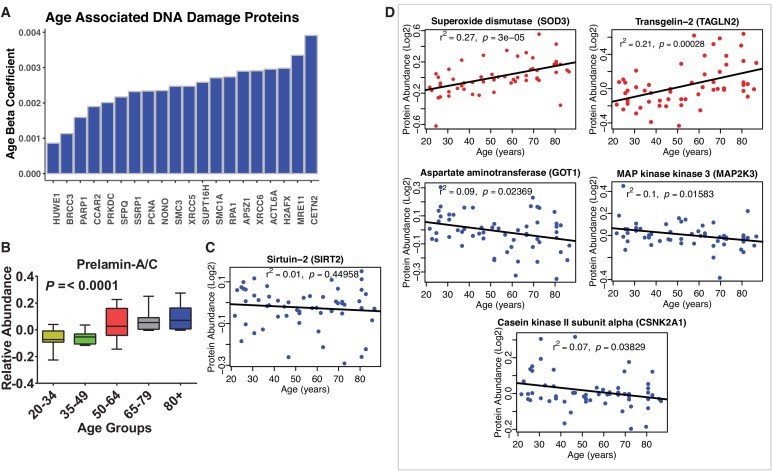 Figure 1—figure supplement 4.