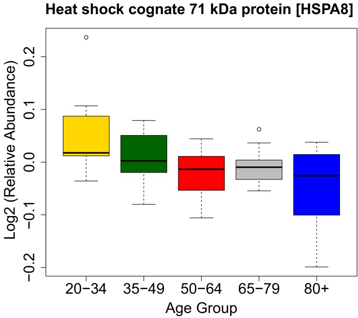 Figure 5—figure supplement 1.