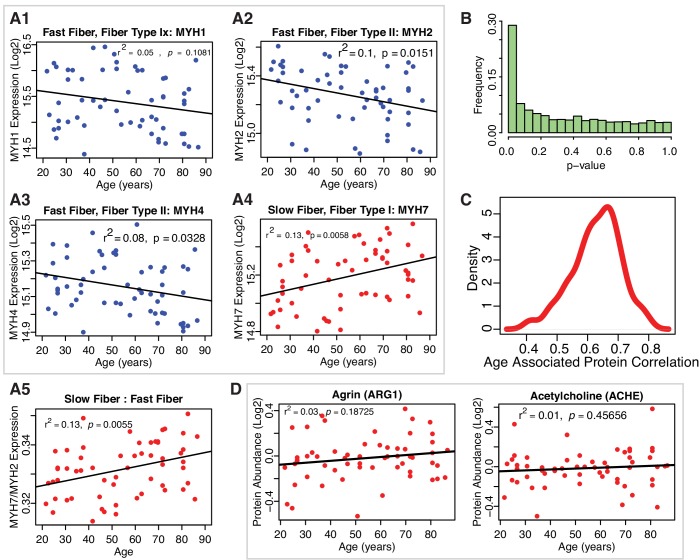 Figure 1—figure supplement 3.