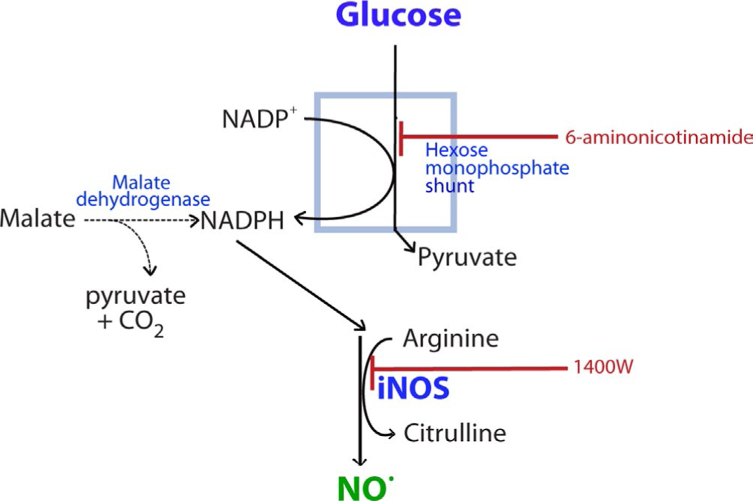 FIGURE 1