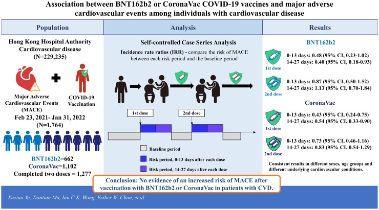 Graphical Abstract