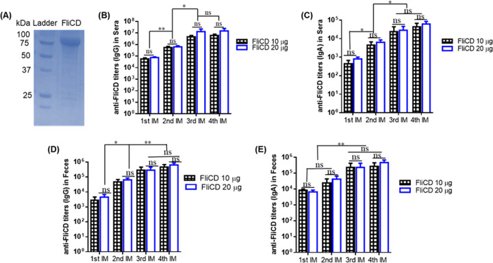 FIG 3