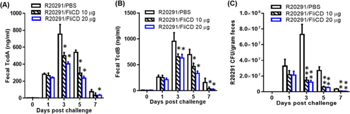 FIG 6