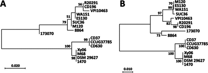 FIG 1