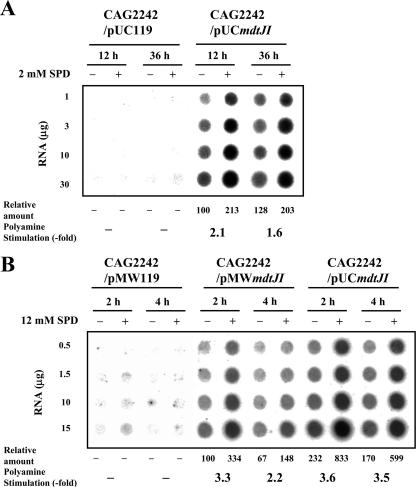 FIG. 4.