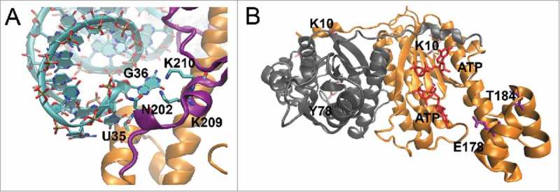 Figure 6.