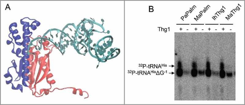 Figure 3.