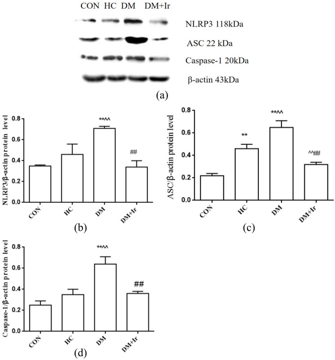 Figure 5.