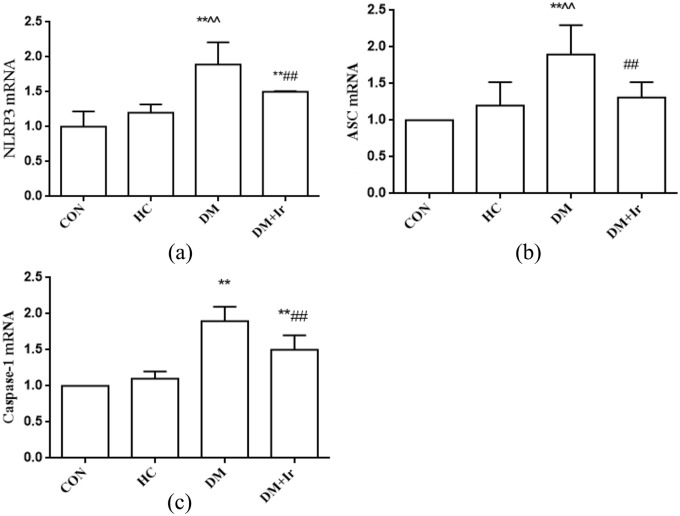 Figure 4.