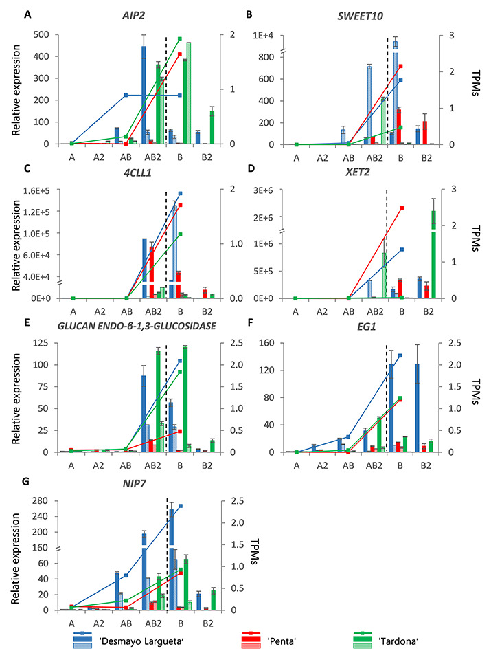 Figure 6.