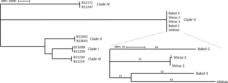 Figure 2.