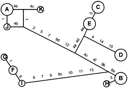 Figure  2