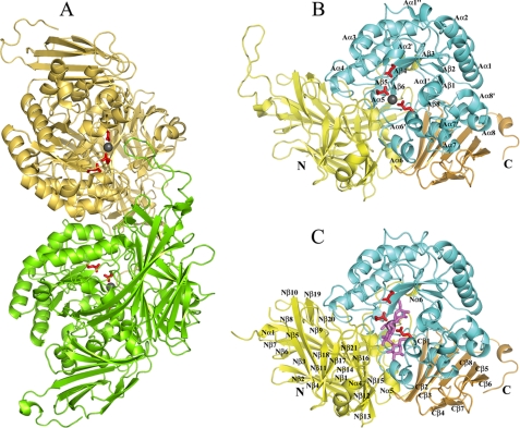 FIGURE 2.