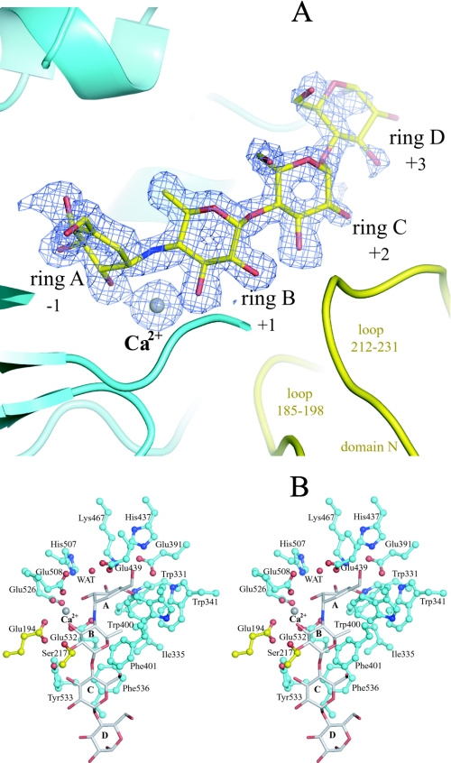 FIGURE 3.