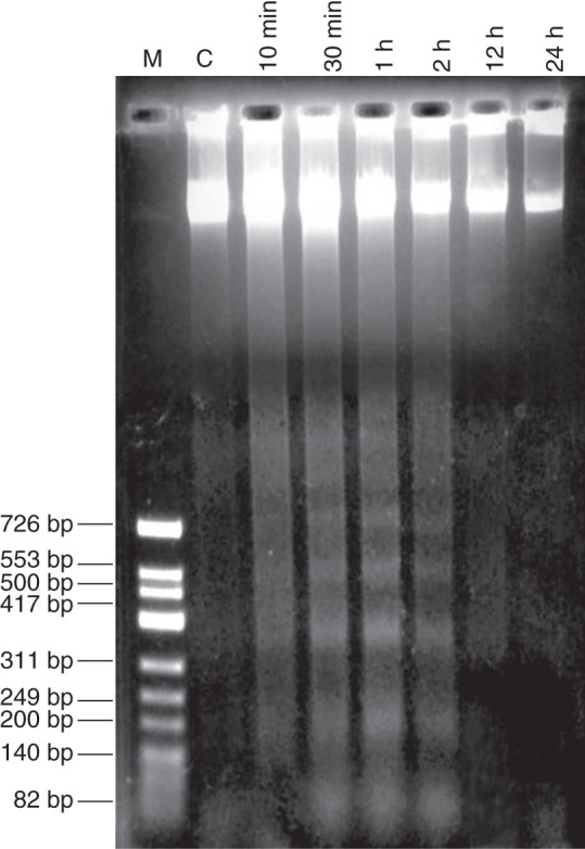 Fig. 6.