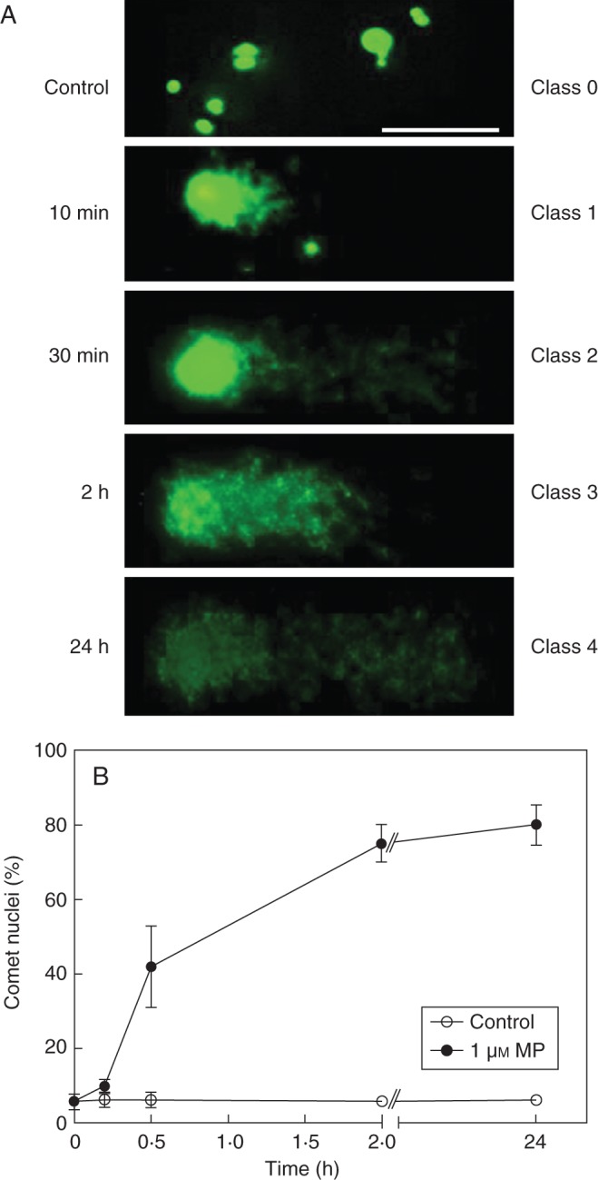 Fig. 7.