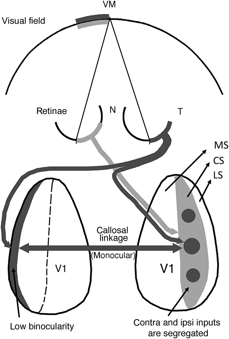 Figure 10.