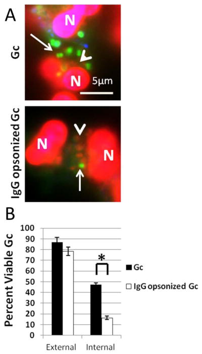 Figure 9