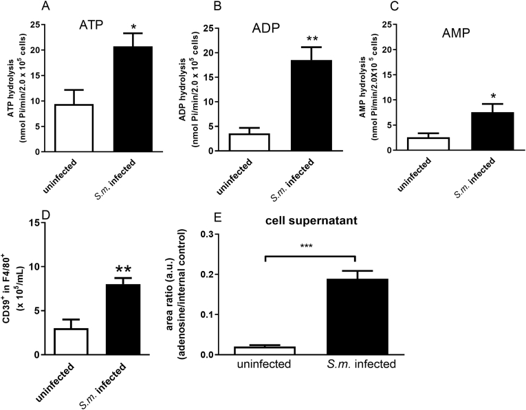 Fig. 4