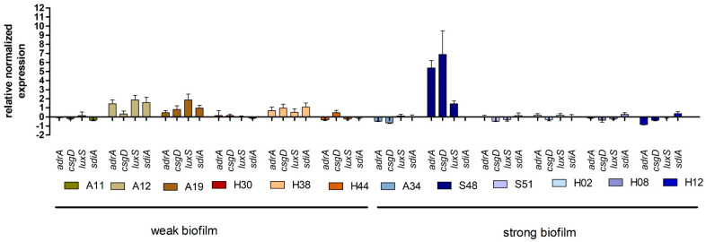 Figure 4