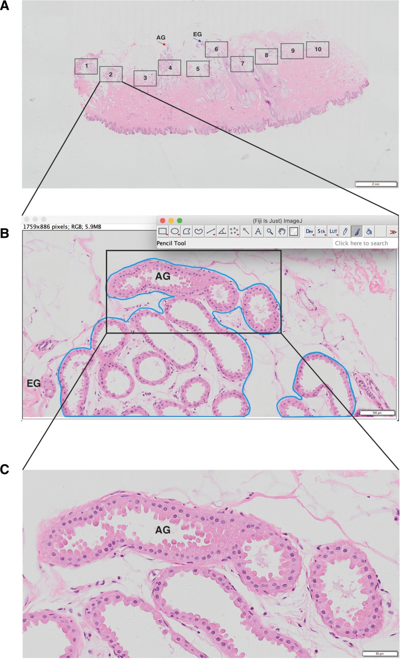 Fig. 2.