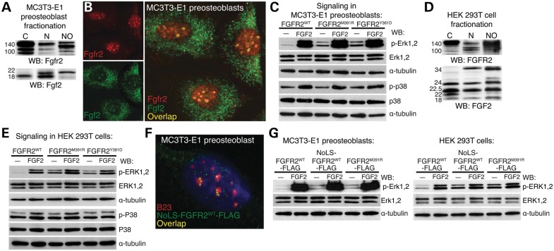 Figure 3.