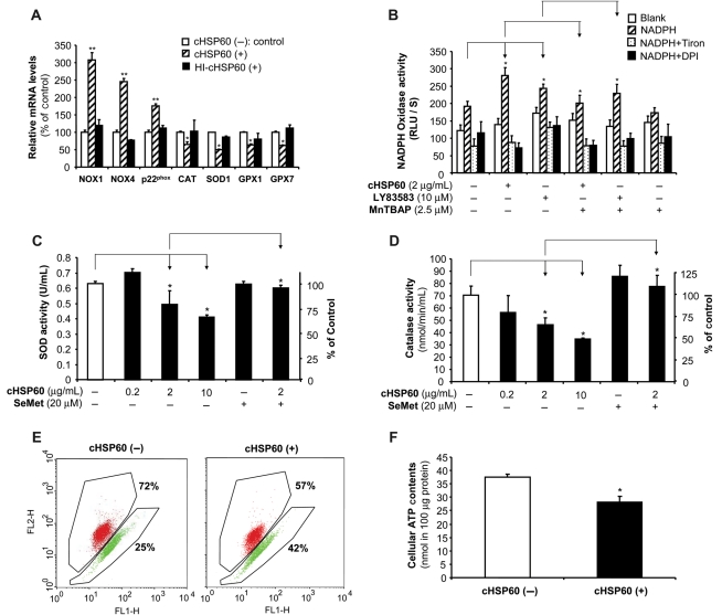 Figure 4