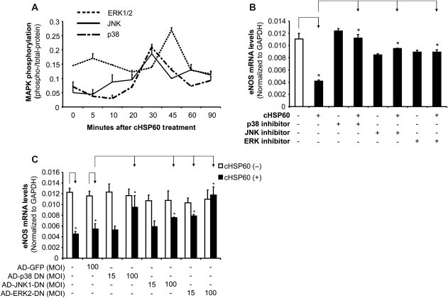 Figure 5