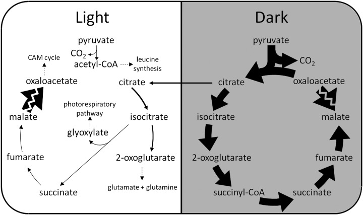 Figure 6.