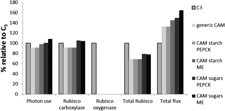 Figure 7.