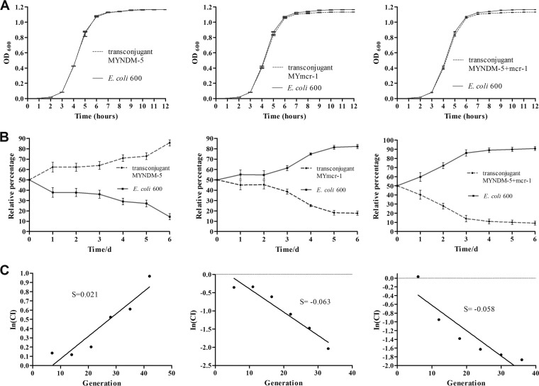 FIG 2