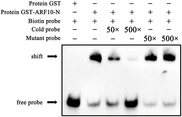 Fig. 8.