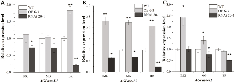 Fig. 6.