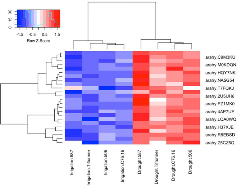 FIGURE 2