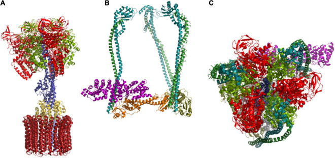 FIGURE 4