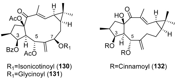 Figure 22