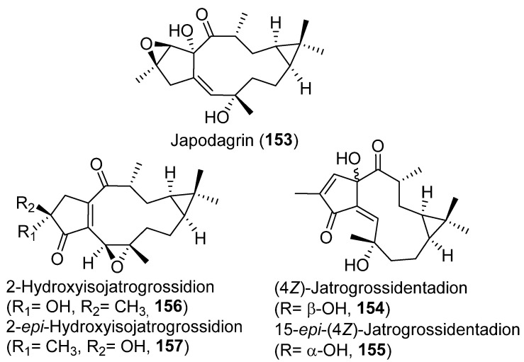 Figure 28